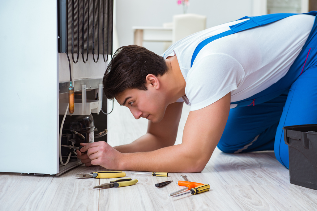 Choosing the right appliance repair service in Tampa, FL
